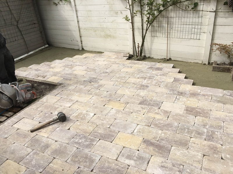 Terras bestrating